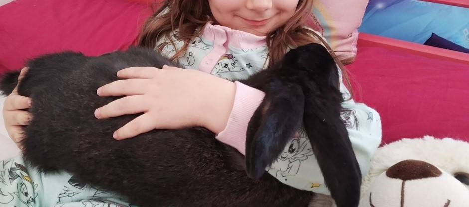 confiance-seance-patte-blanche-bienveillance-mediation-animale-noemie-duchamp-tours-region-centre-indre-loire-cher-zootherapie-animaux-chien-lapin-hamster-bien-etre-therapie