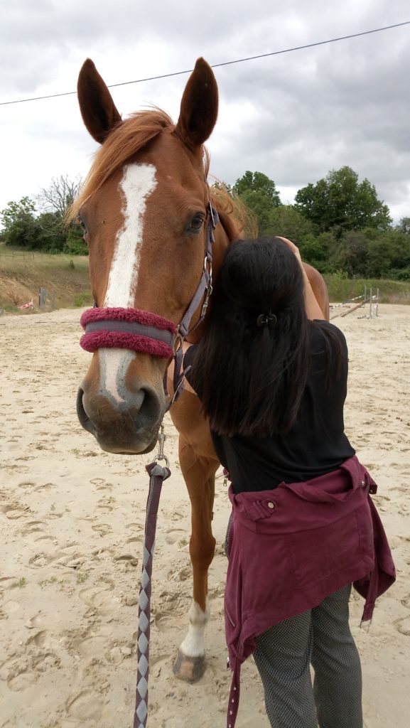 seance-confiance-photo-4-patte-blanche-bienveillance-mediation-animale-noemie-duchamp-tours-region-centre-indre-loire-cher-zootherapie-animaux-chien-lapin-hamster-bien-etre-therapie